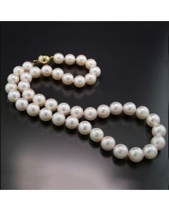 Was sind Akoyaperlen wertvolle echte Perlen Zuchtperlen japanisch