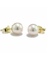 Ohrringe Perlen Zuchtperlen Japan weiße Akoyaperlen