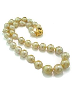 Halskette große Perlen helles Gold champagner Collier echter Perlenschmuck
