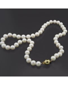 Perlenkette weiße Süßwasserperlen Echtperlenschmuck