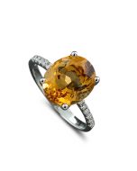 Ring online kaufen