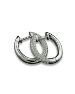 Brillantohrschmuck