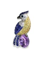 Kakadu Schmuck Vogel